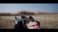 【半岛束艺台】【波雅】YT3124 最后的人类