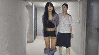 【鑫鑫工作室】一名女子因转发YH视频而被传唤自首