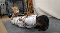束缘阁 李然 吊绑女医生 驷马挠痒