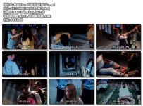 xx市夏季严打纪实