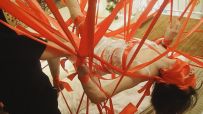 【白城出品】紧缚tj三部曲之最终章（下集）白丝少女逃跑失败禁强高 绸带吊