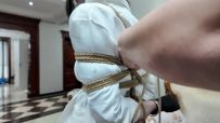 枫叶 《尤物收藏夹·南清·没用迷药直接打晕！》