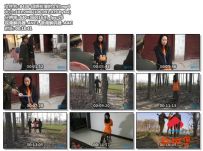 田娇扮演的（女杀人犯）