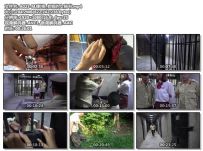 MJ影视_老板的女秘书