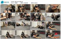 涵涵特辑 K9人形犬调教