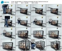 【冥想原创】【夕夕】完美复刻house of gord兔笼第三期-175逆天大长腿与狭小笼子的对