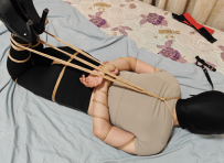 【钰】驷马放置