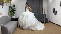 【金宝工作室】《被绑架的新娘》