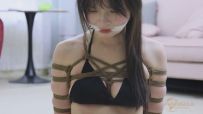 【半岛束艺台】【流星】YT2805 缚仇者 下
