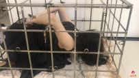 旋律受虐记 圈养富家女（续）黑丝、多功能笼子、钢枷、...