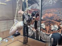 【缚心室】真空上阵，油光灰丝小美女直臂紧缚折磨，吊缚+驷马一个不能少，秒C神器啵啵