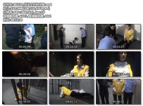 抗法女犯的末路