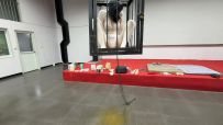 媚娘工作室-吊笼灌c喷射20分钟