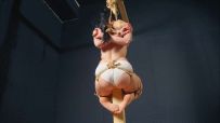 UPENDED VIBRO NON STOP