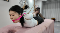 李大侠 小蓝直臂驷马堵嘴