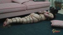 【半岛束艺台】【桃子】躲不掉的物理马赛克