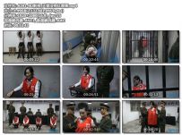 MJ影视_天堂没有红罂粟