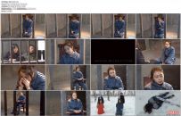 MJ影视 雪域情缘