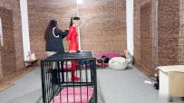 媚娘工作室 笼中悬吊的瑾初
