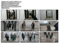 新模贾慧纶试镜