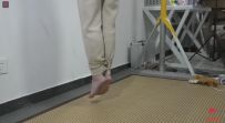 小凡，卫衣、卫裤，龟甲、股绳，固定棒，40分钟直立踮脚...