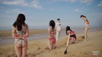 【半岛束艺台】【海语】【波雅】【奎因】【星眠】YT3223 一个萝卜一个坑