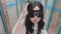 【白城出品】第十一部《人妻惩戒所》若若篇（中集）