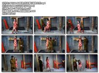 MJ影视_苏冰倩红旗袍女烈