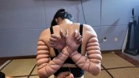 一绳所爱  喵喵铁丝极限五花紧缚