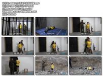 色诱杀人犯苏冰倩