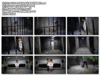 MJ影视_穿花裹裙的梅嘉莉