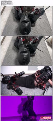 涵涵特辑 k9犬努调教